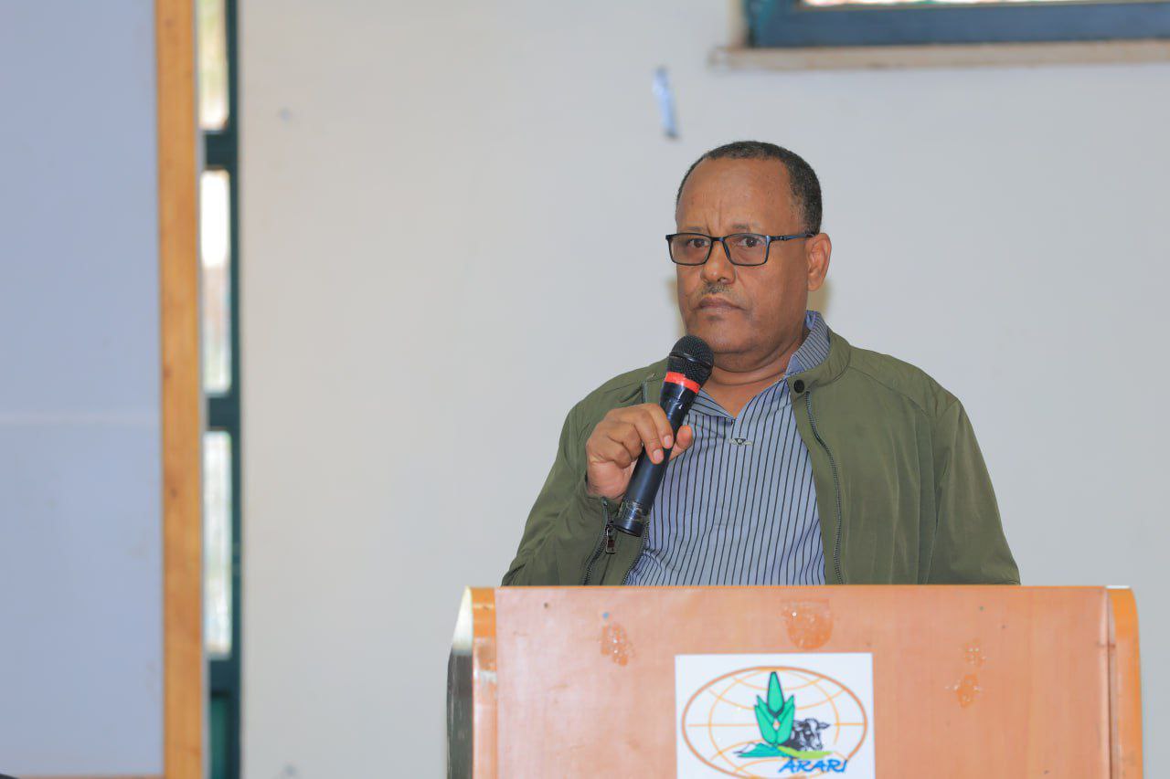 Workshop on scaling up of acid soil management and demonstration of the newly released acid tolerant Sekela wheat variety in western Amhara region.
