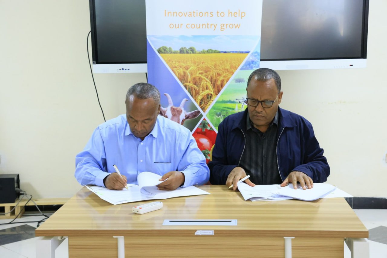 ATI signed a Memorandum of Understanding with the Amhara Region Agricultural Research Institute (ARARI) to support the rehabilitation of institutions in conflict-affected areas of the Region