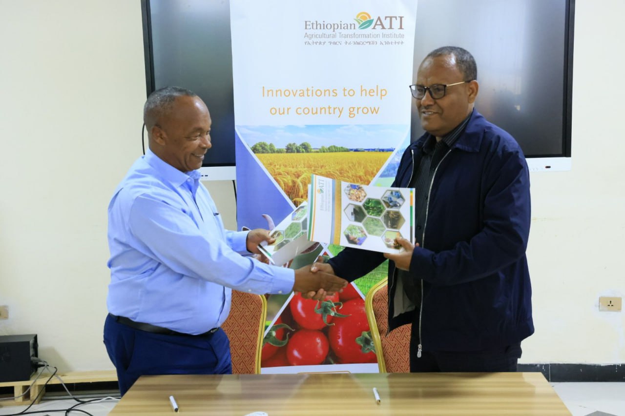 ATI signed a Memorandum of Understanding with the Amhara Region Agricultural Research Institute (ARARI) to support the rehabilitation of institutions in conflict-affected areas of the Region